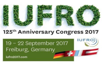 Belcher presents preliminary research effectiveness case study research at IUFRO congress