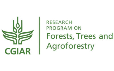 CGIAR Research Program on Forests, Trees and Agroforestry evaluates its impact 