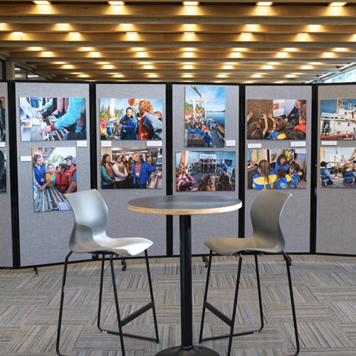RRU Library Showcase