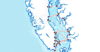 Ferry Tales