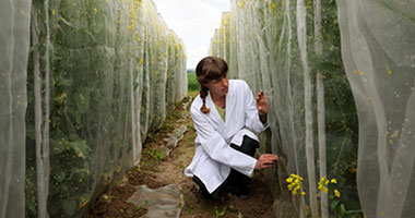 Master of Arts in Climate Action Leadership (MACAL) – Information Site
