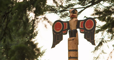 Professional Project Administrator Program – For Indigenous Learners